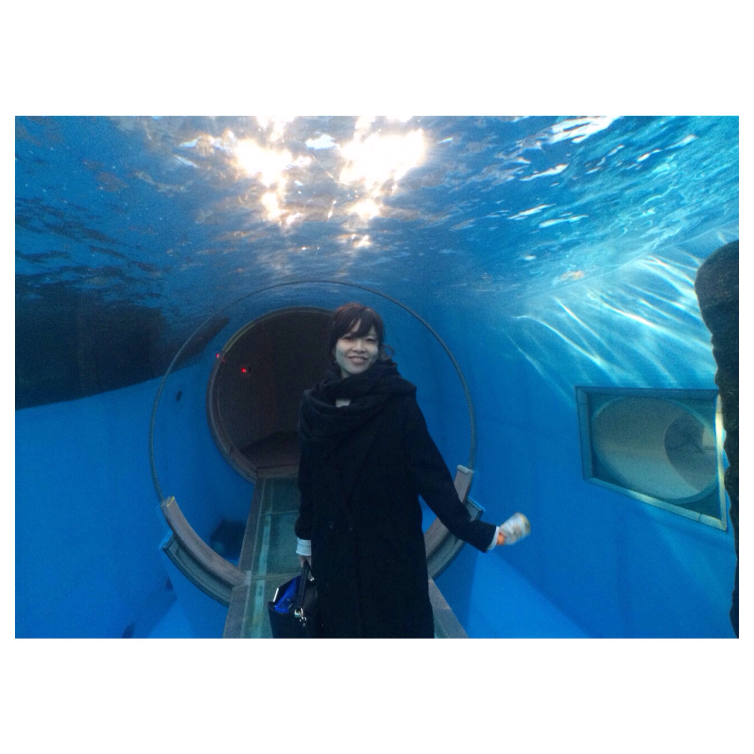 水族館