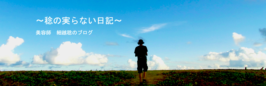 Hosokoshi Blog