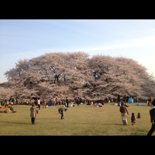 pic20140403142327_1.jpg